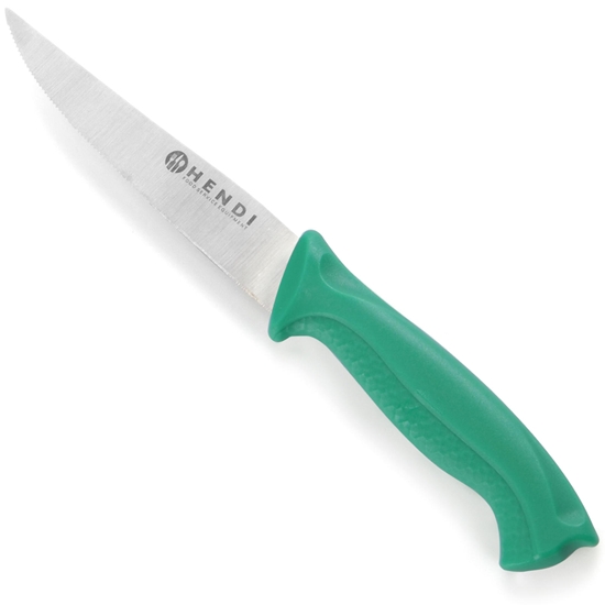 Nóż do warzyw i owoców ząbkowany HACCP 205mm - zielony - HENDI 842119
