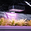 Lampa do uprawy wzrostu roślin Hillvert LED 1200W biała