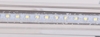 Kinkiet łazienkowy chrom LED 7W 6500K regulowany Gizel Candellux 20-32591