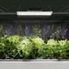 Lampa do uprawy wzrostu roślin pełne spektrum 30 x 24 cm 234 LED 110 W srebrna