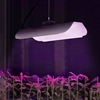 Lampa do wzrostu uprawy roślin pełne spektrum 25 x 12 cm 136 LED 50 W srebrna