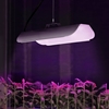 Lampa do wzrostu uprawy roślin pełne spektrum 25 x 12 cm 68 LED 50 W srebrna