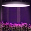Lampa do uprawy wzrostu roślin pełne spektrum okrągła śr. 33 cm 250 LED 50 W srebrna
