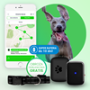 Locon Dog - Wodoodporny Lokalizator GPS dla psa z wytrzymałą baterią i obrożą odblaskową